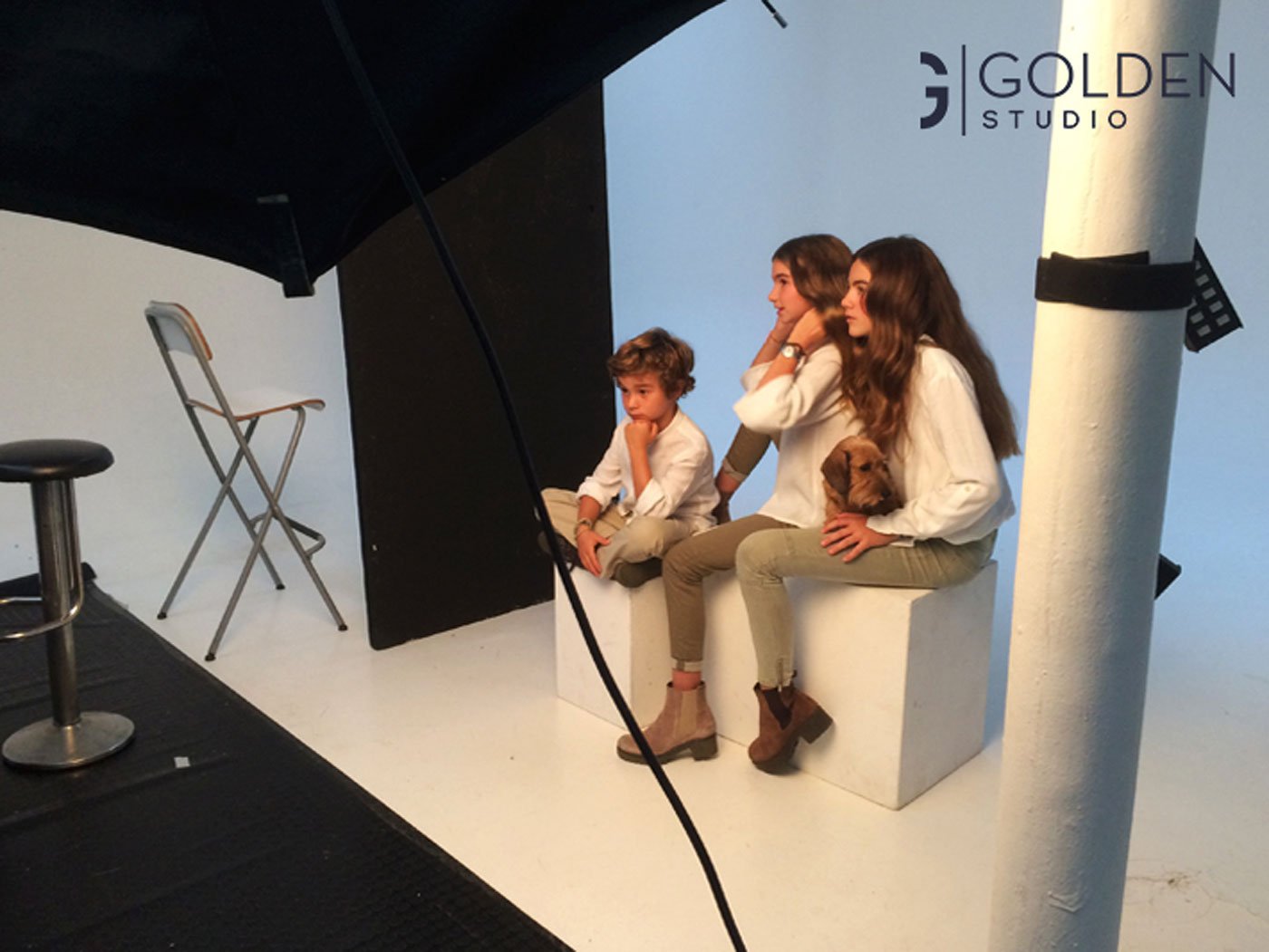 Imbee_golden_estudio