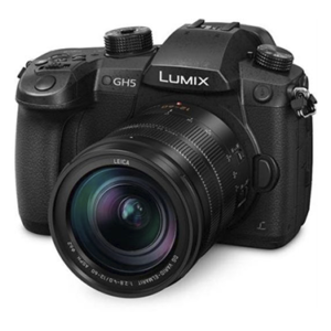 Panasonic Lumix GH5 + Objetivo Panasonic Leica DG Vario-Elmarit 12-60mm f/2.8-4 ASPH